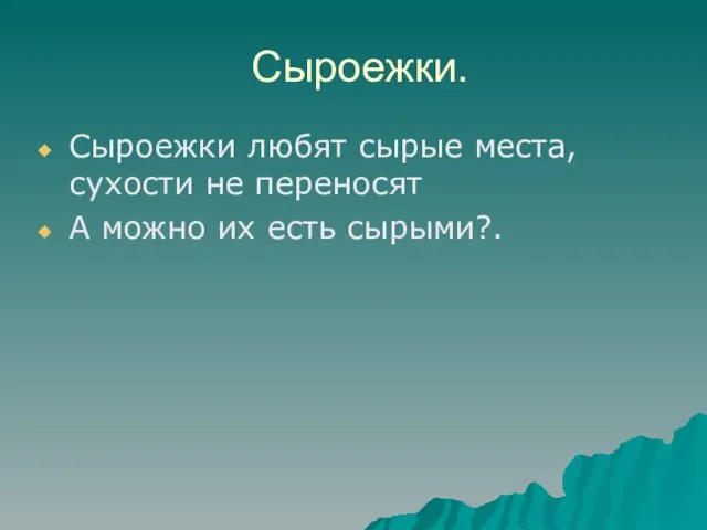 Сыроежки. Сыроежки любят сырые места, сухости не переносят А можно их есть сырыми?.