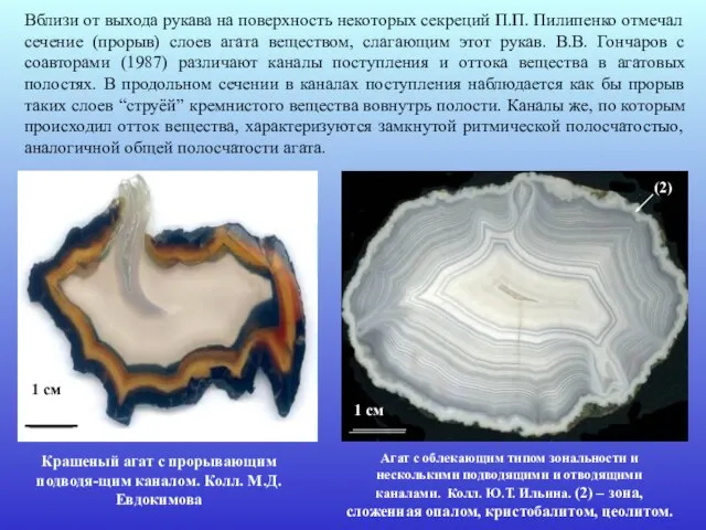 Агат с облекающим типом зональности и несколькими подводящими и отводящими каналами. Колл.