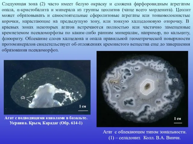 Следующая зона (2) часто имеет белую окраску и сложена фарфоровидным агрегатом опала,