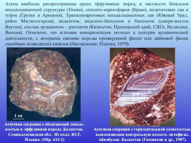 Агатовая секреция с облекающей зональ-ностью в эффузивной породе. Казахстан. Семипалатинская обл. Из