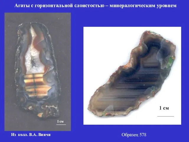 Агаты с горизонтальной слоистостью – минералогическим уровнем Из колл. В.А. Винчи Образец 578