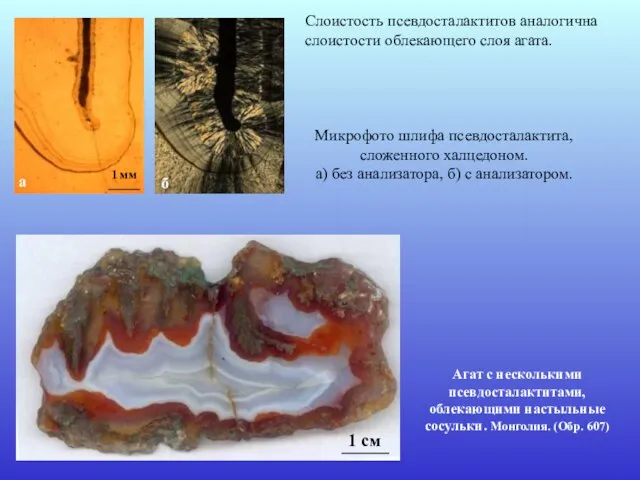 Агат с несколькими псевдосталактитами, облекающими настыльные сосульки. Монголия. (Обр. 607) Микрофото шлифа