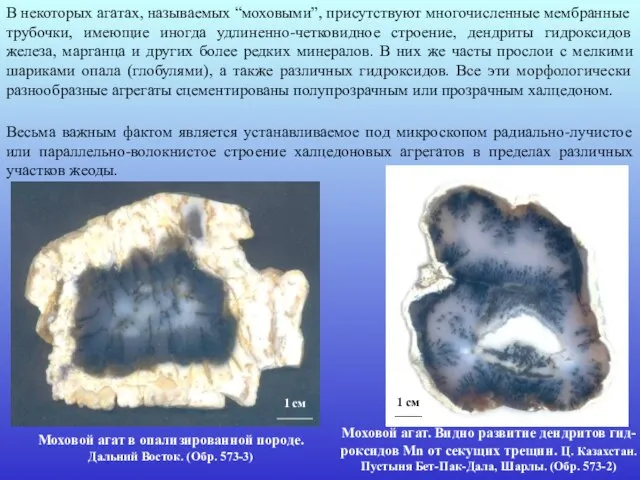 В некоторых агатах, называемых “моховыми”, присутствуют многочисленные мембранные трубочки, имеющие иногда удлиненно-четковидное