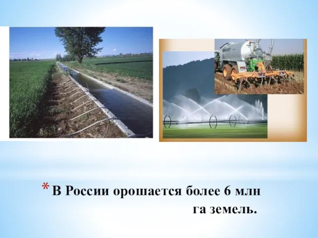 В России орошается более 6 млн га земель.