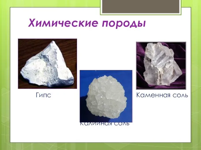 Химические породы Гипс Каменная соль Калийная соль