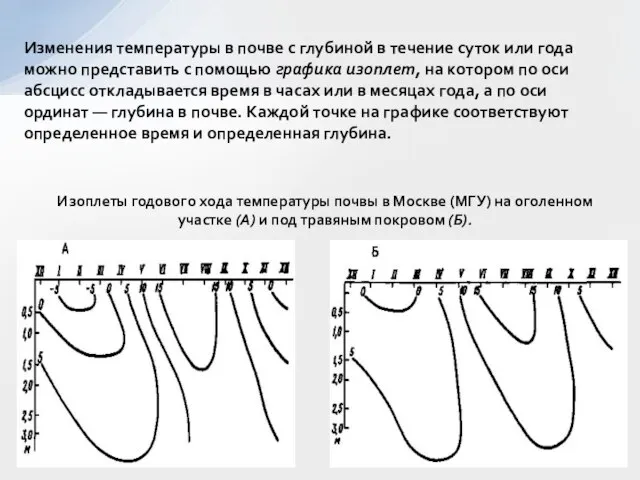 Изоплеты годового хода температуры почвы в Москве (МГУ) на оголенном участке (А)
