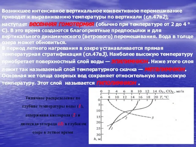Возникшее интенсивное вертикальное конвективное перемешивание приведет к выравниванию температуры по вертикали (сл.47в2),