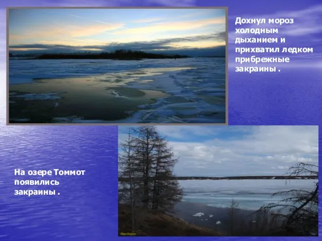 Дохнул мороз холодным дыханием и прихватил ледком прибрежные закраины . На озере Томмот появились закраины .