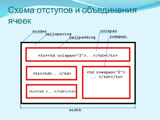 Схема отступов и объединения ячеек width colspan rowspan ... ... ... ...