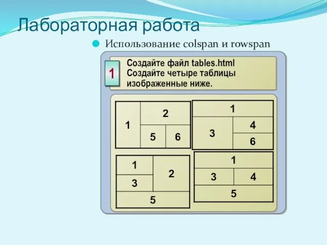 Лабораторная работа Использование colspan и rowspan