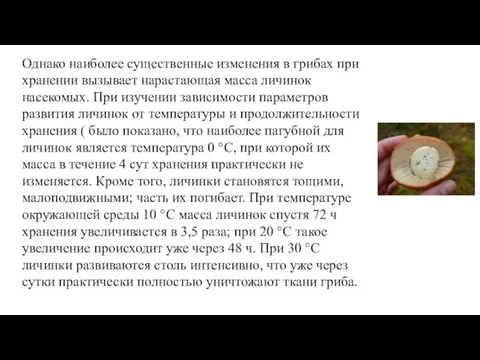 Однако наиболее существенные изменения в грибах при хранении вызывает нарас­тающая масса личинок