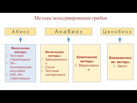 Методы консервирования грибов А б и о з А н а б