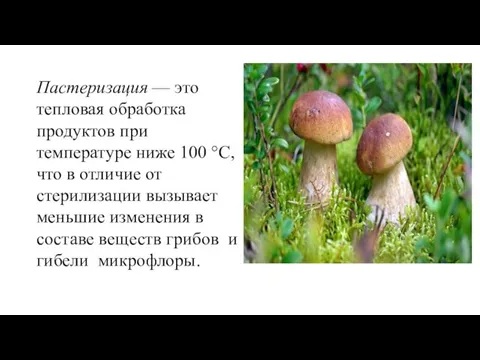 Пастеризация — это тепловая обработка продуктов при температуре ниже 100 °С, что