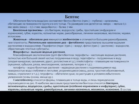 Бентос Обитатели биотопа вода/дно составляют бентос (бентос (греч.) – глубина) – организмы,