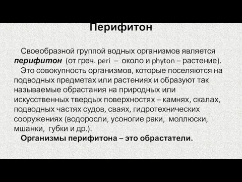 Перифитон Своеобразной группой водных организмов является перифитон (от греч. peri – около