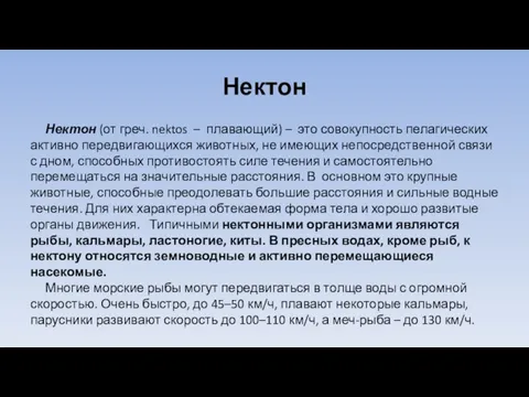 Нектон Нектон (от греч. nektos – плавающий) – это совокупность пелагических активно