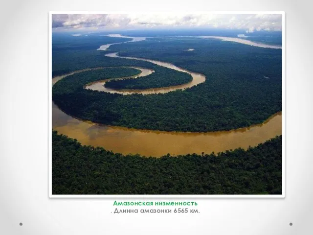 Амазонская низменность . Длинна амазонки 6565 км.