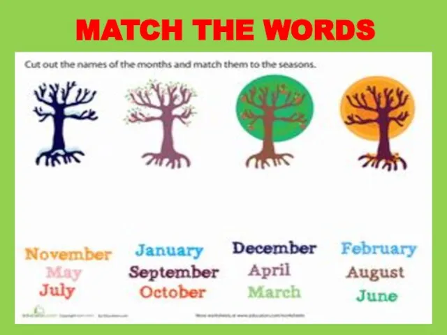 MATCH THE WORDS