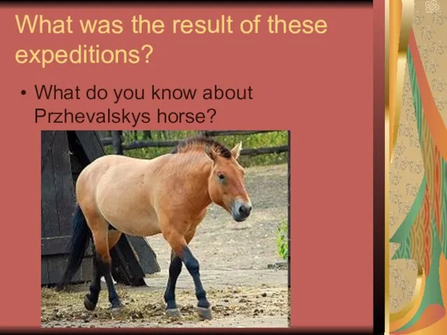 What was the result of these expeditions? What do you know about Przhevalskys horse?