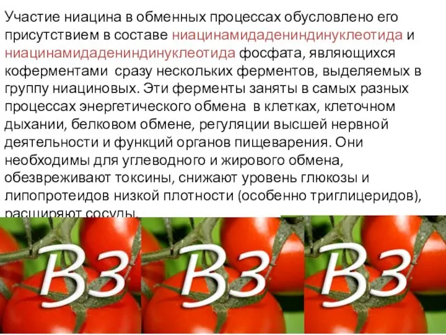 Участие ниацина в обменных процессах обусловлено его присутствием в составе ниацинамидадениндинуклеотида и