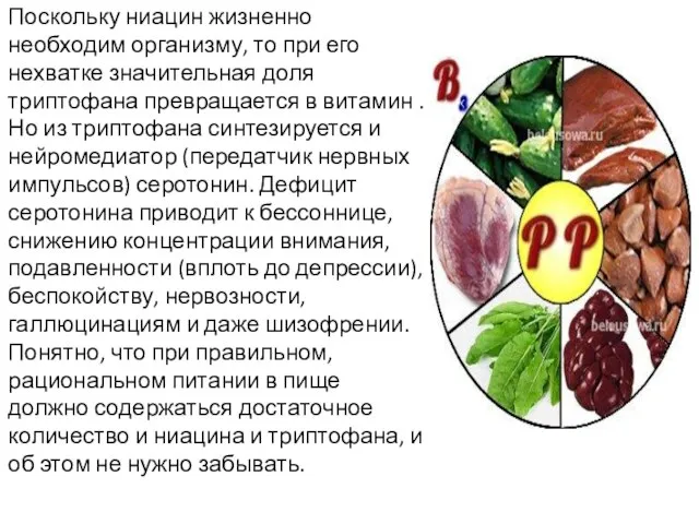 Поскольку ниацин жизненно необходим организму, то при его нехватке значительная доля триптофана