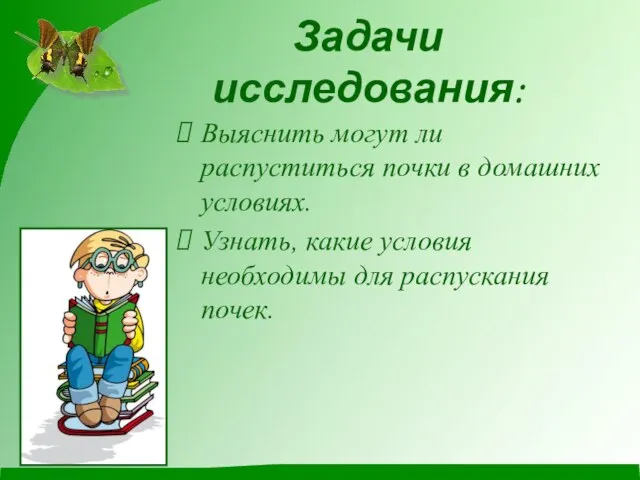 Задачи исследования: Выяснить могут ли распуститься почки в домашних условиях. Узнать, какие