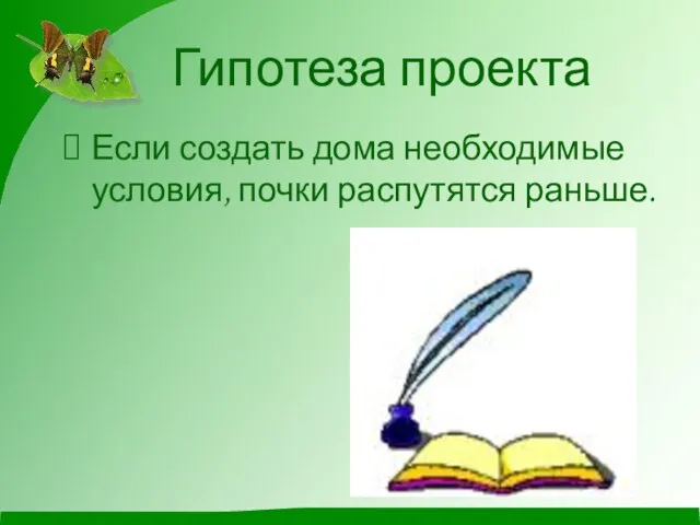 Гипотеза проекта Если создать дома необходимые условия, почки распутятся раньше.