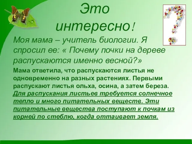 Это интересно! Моя мама – учитель биологии. Я спросил ее: « Почему