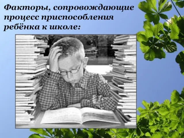 Факторы, сопровождающие процесс приспособления ребёнка к школе: