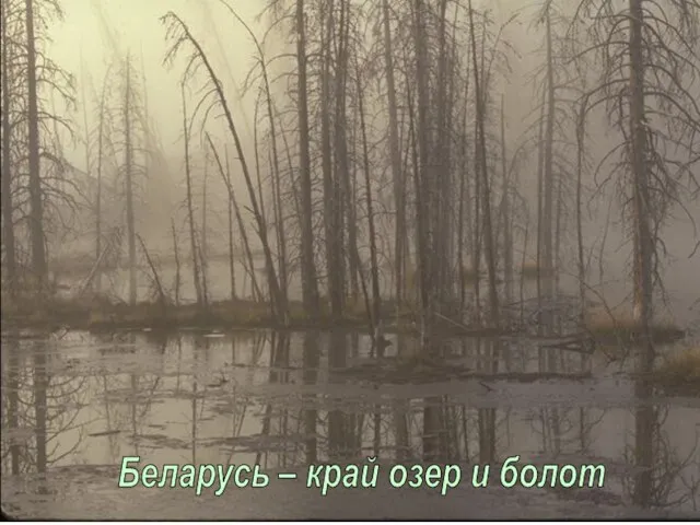 Беларусь – край озер и болот