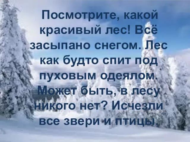 Посмотрите, какой красивый лес! Всё засыпано снегом. Лес как будто спит под