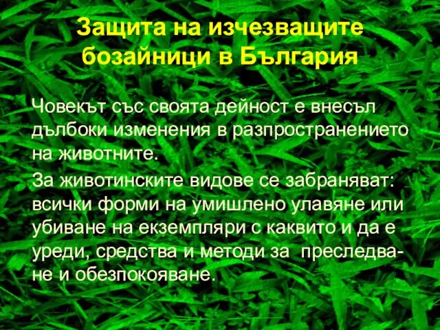 Защита на изчезващите бозайници в България Човекът със своята дейност е внесъл