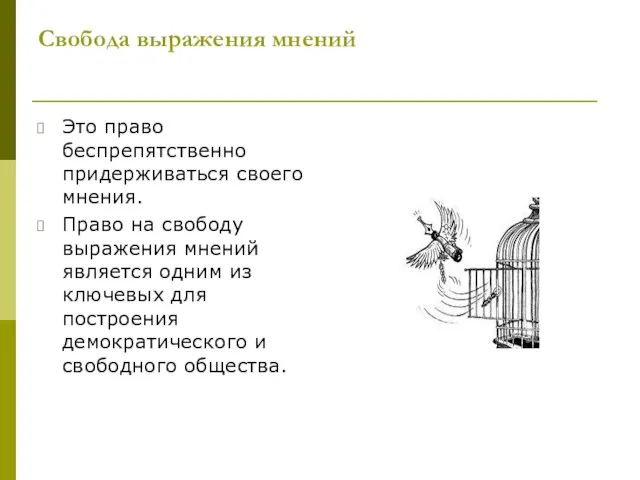 Свобода выражения мнений Это право беспрепятственно придерживаться своего мнения. Право на свободу