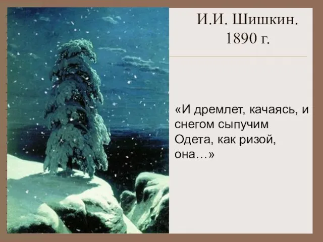 И.И. Шишкин. 1890 г. «И дремлет, качаясь, и снегом сыпучим Одета, как ризой, она…»