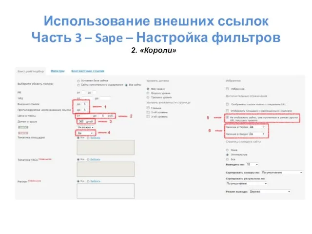 Использование внешних ссылок Часть 3 – Sape – Настройка фильтров 2. «Короли»