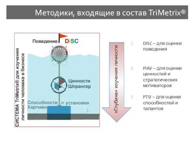 Методики, входящие в состав TriMetrix® DISC – для оценки поведения PIAV –