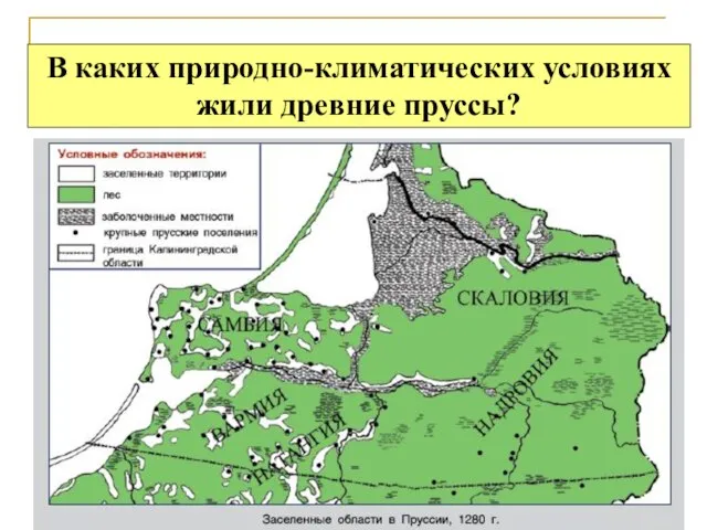 В каких природно-климатических условиях жили древние пруссы?