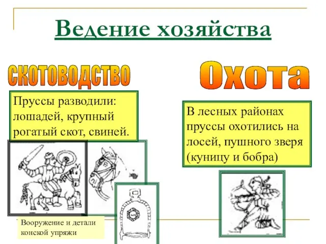 Ведение хозяйства скотоводство Пруссы разводили: лошадей, крупный рогатый скот, свиней. Охота В