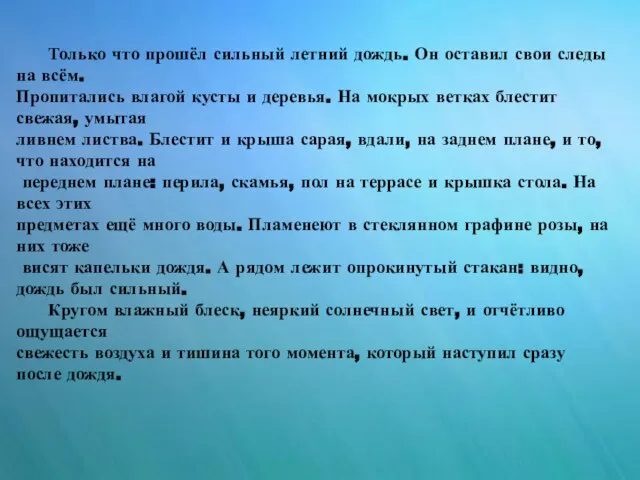 Только что прошёл сильный летний дождь. Он оставил свои следы на всём.