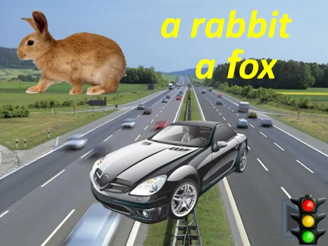 a fox a rabbit