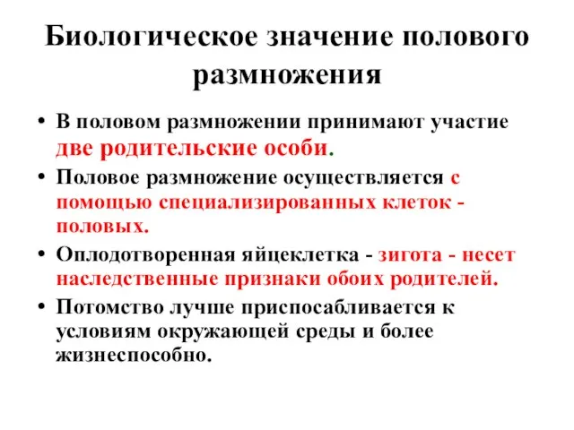 Биологическое значение полового размножения В половом размножении принимают участие две родительские особи.