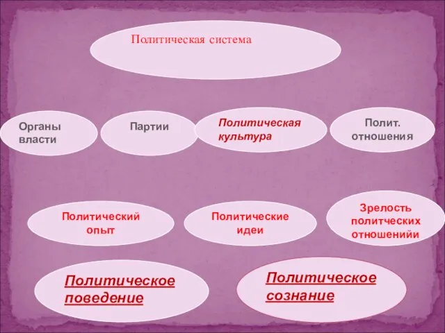 Политическая система Политическое сознание Политический опыт Политическое поведение Зрелость политческих отношенийи Органы