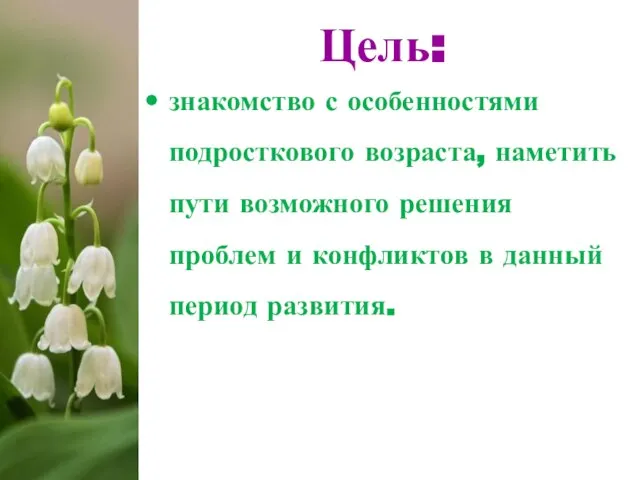 Цель: знакомство с особенностями подросткового возраста, наметить пути возможного решения проблем и