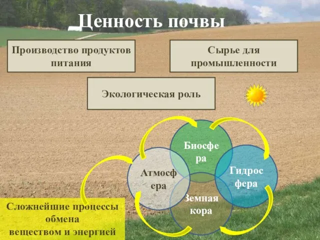 Ценность почвы Производство продуктов питания Сырье для промышленности Экологическая роль Биосфера Земная