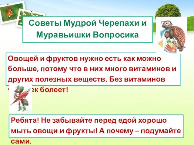 Советы Мудрой Черепахи и Муравьишки Вопросика Овощей и фруктов нужно есть как