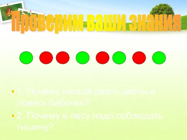 1. Почему нельзя рвать цветы и ловить бабочек? 2. Почему в лесу