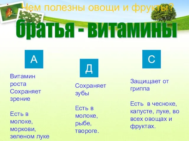 Чем полезны овощи и фрукты? Д А С Витамин роста Сохраняет зрение