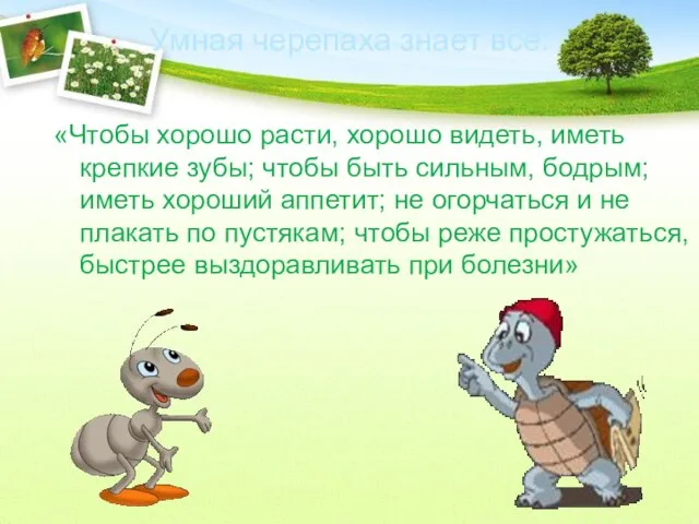 Умная черепаха знает все: «Чтобы хорошо расти, хорошо видеть, иметь крепкие зубы;