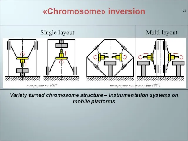 «Chromosome» inversion Single-layout Variety turned chromosome structure – instrumentation systems on mobile platforms Multi-layout
