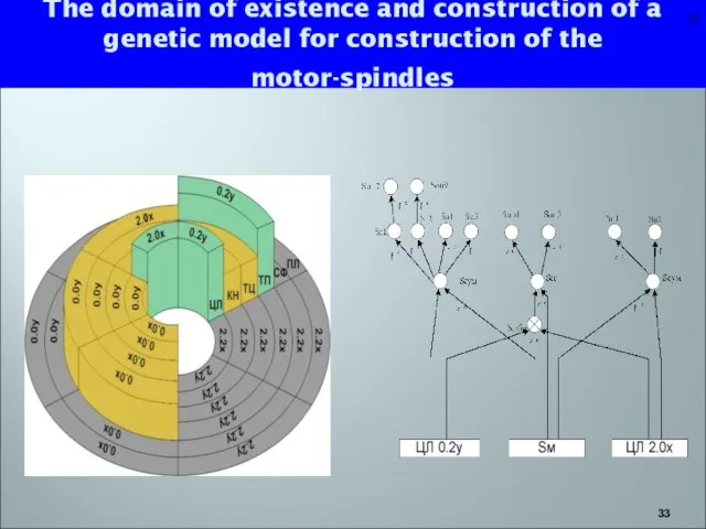 The domain of existence and construction of a genetic model for construction of the motor-spindles